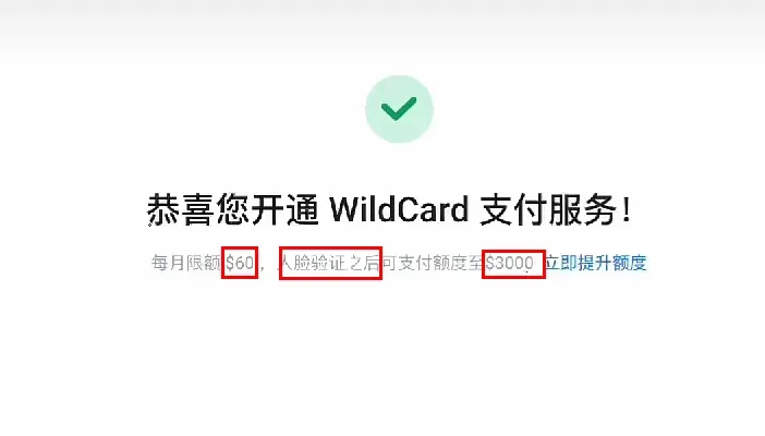 支付成功界面