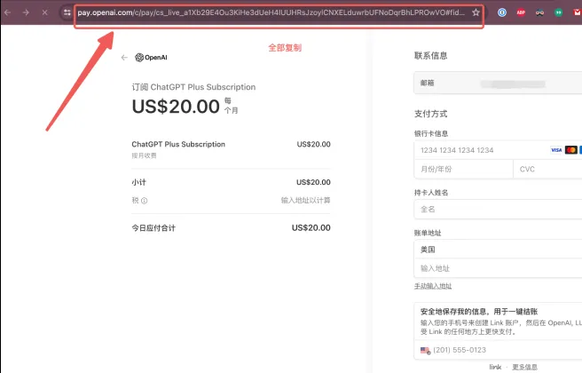 支付链接获取示意图