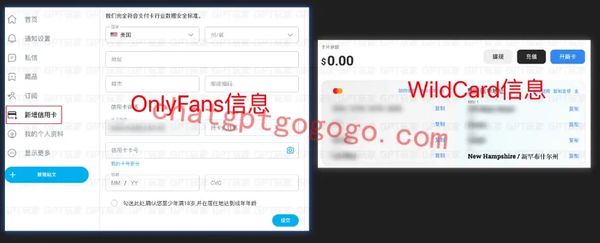 支付信息录入